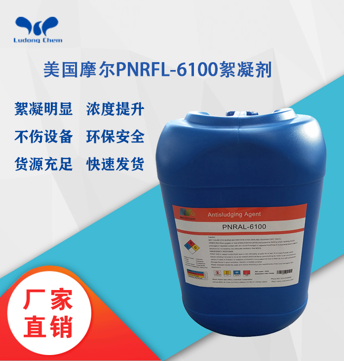 美國摩爾絮凝劑PNRFL-6100
